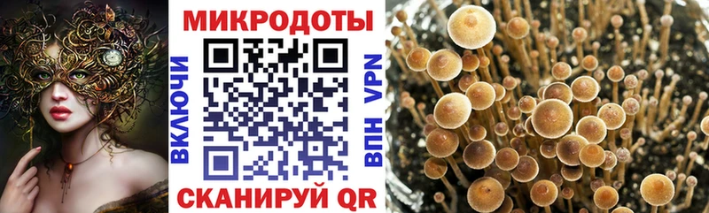 Галлюциногенные грибы прущие грибы  Купить закладки  Нижнекамск 